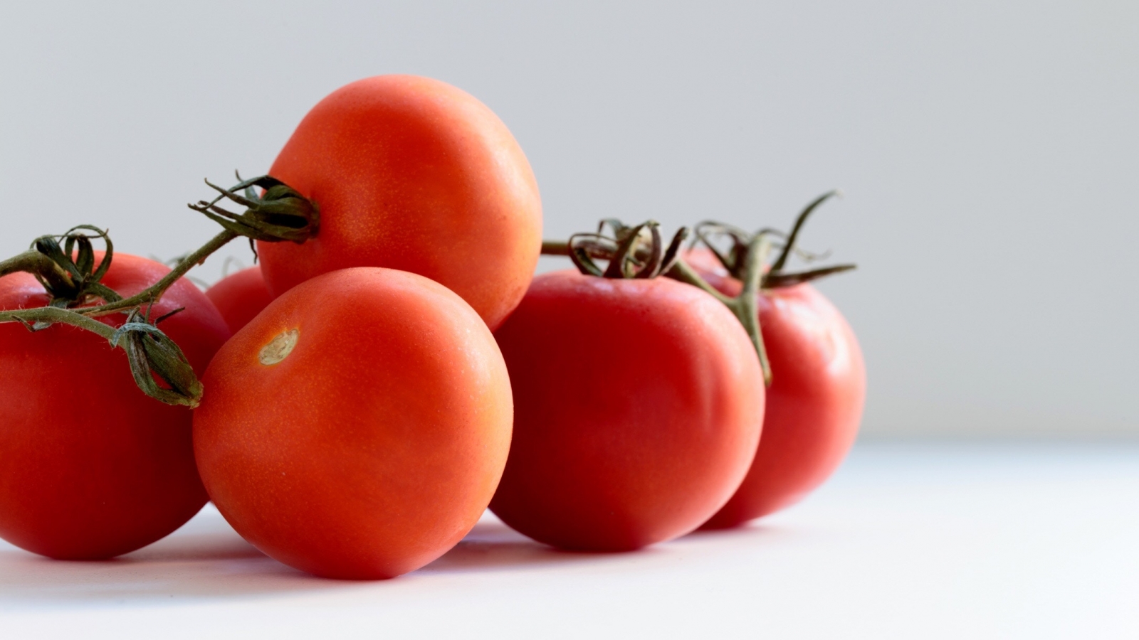 Hoe een tomaat leidt tot productiviteit